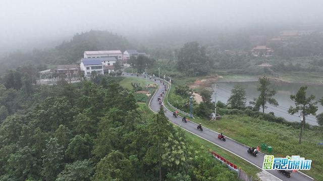 中国山马越 中国山马越