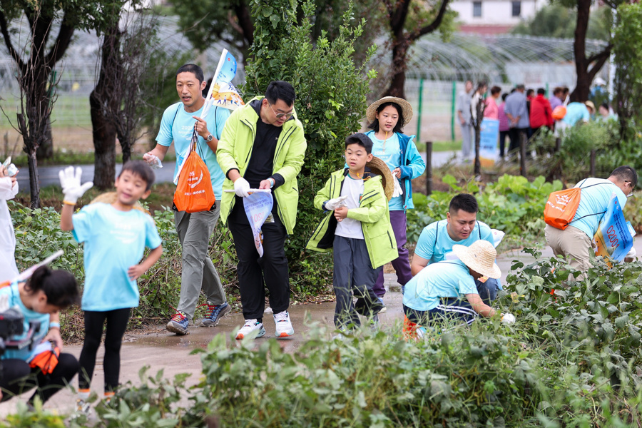 om, https, dKCDb om, https, dKCDb