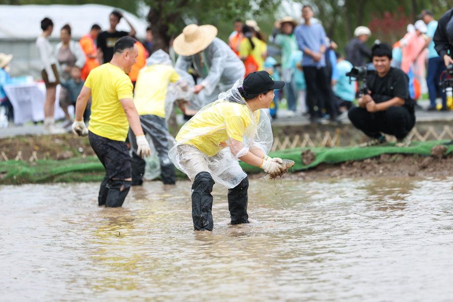 bt, 明区 bt, 明区